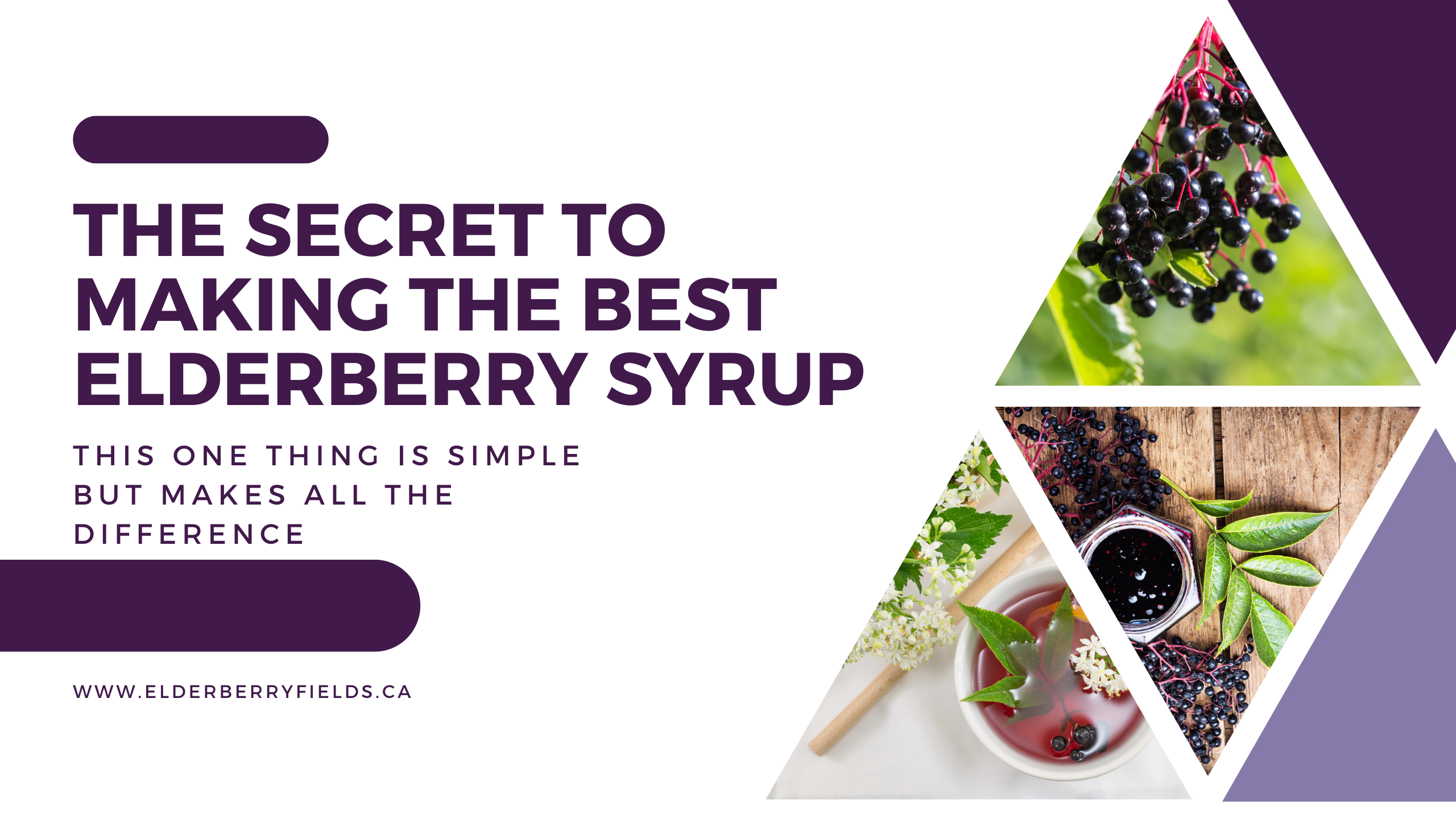 the secret to making the best elderberry syrup