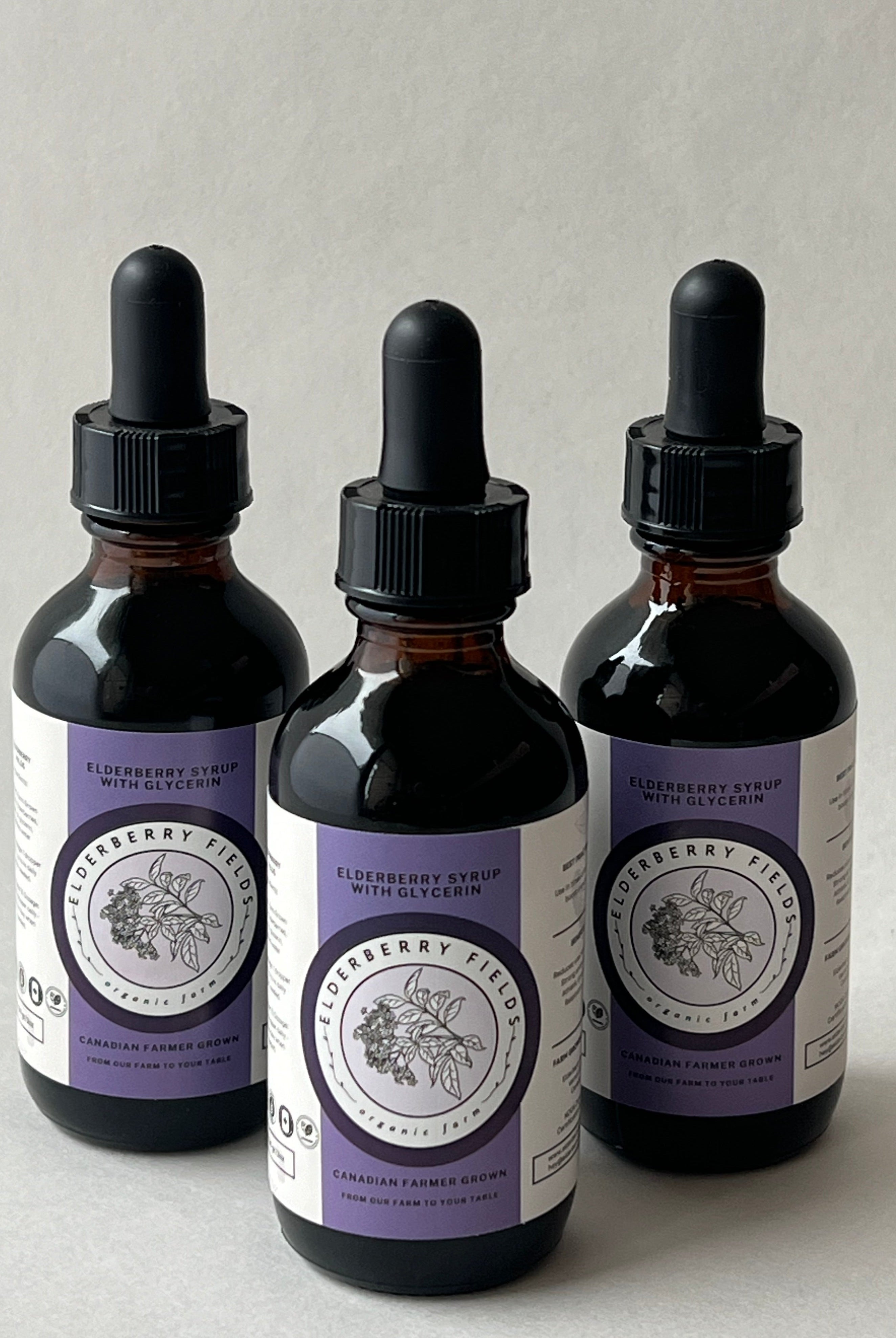 Elderberry Immune Boosting Syrup | 2 fl oz | Elderberry Fields