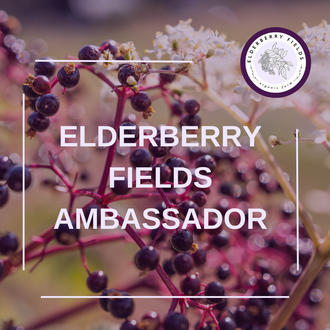 Elderberry Fields Ambassador Program | Athletes and Health Professionals
