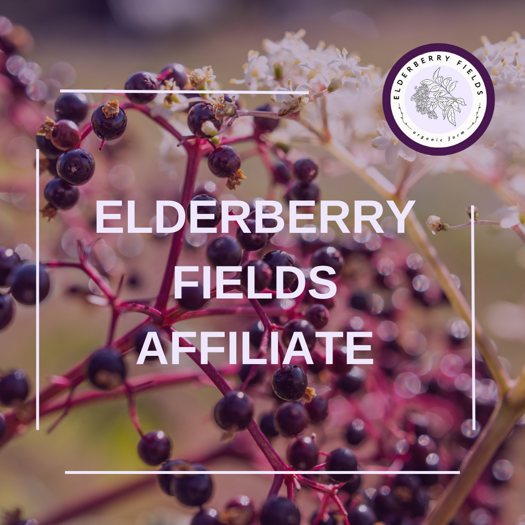elderberry fields affiliate program