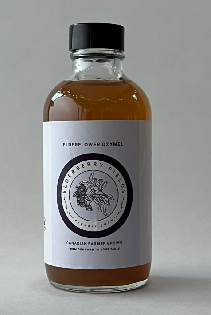 elderflower oxymel, drinking vinegar, shrub great for blood sugar regulation