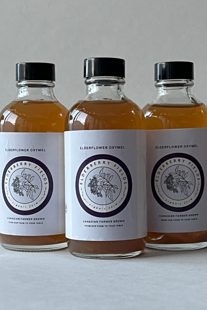 elderflower oxymel, drinking vinegar, shrub great for blood sugar regulation