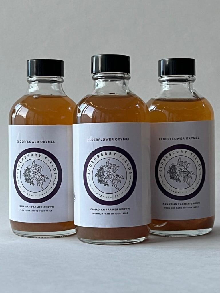 elderflower oxymel, drinking vinegar, shrub great for blood sugar regulation