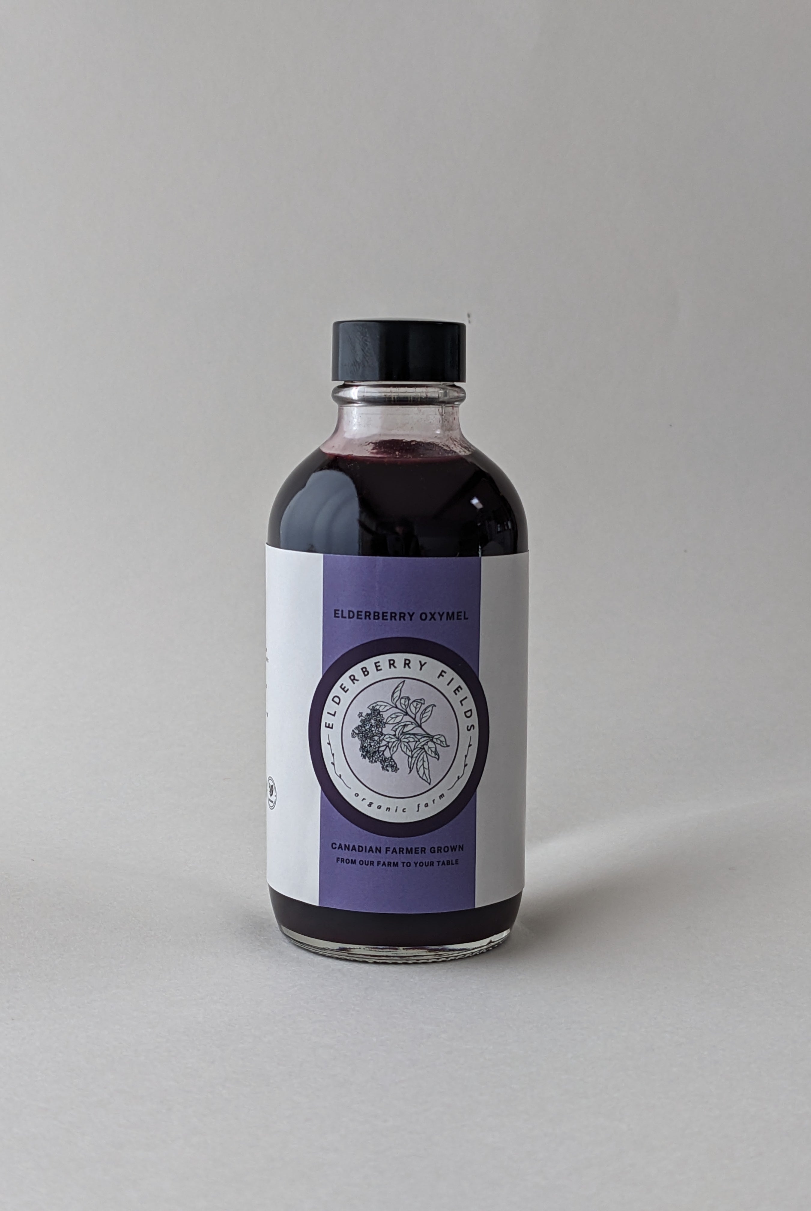 Elderberry Oxymel Wellness Shot Liquid | 4 fl oz | Elderberry Fields