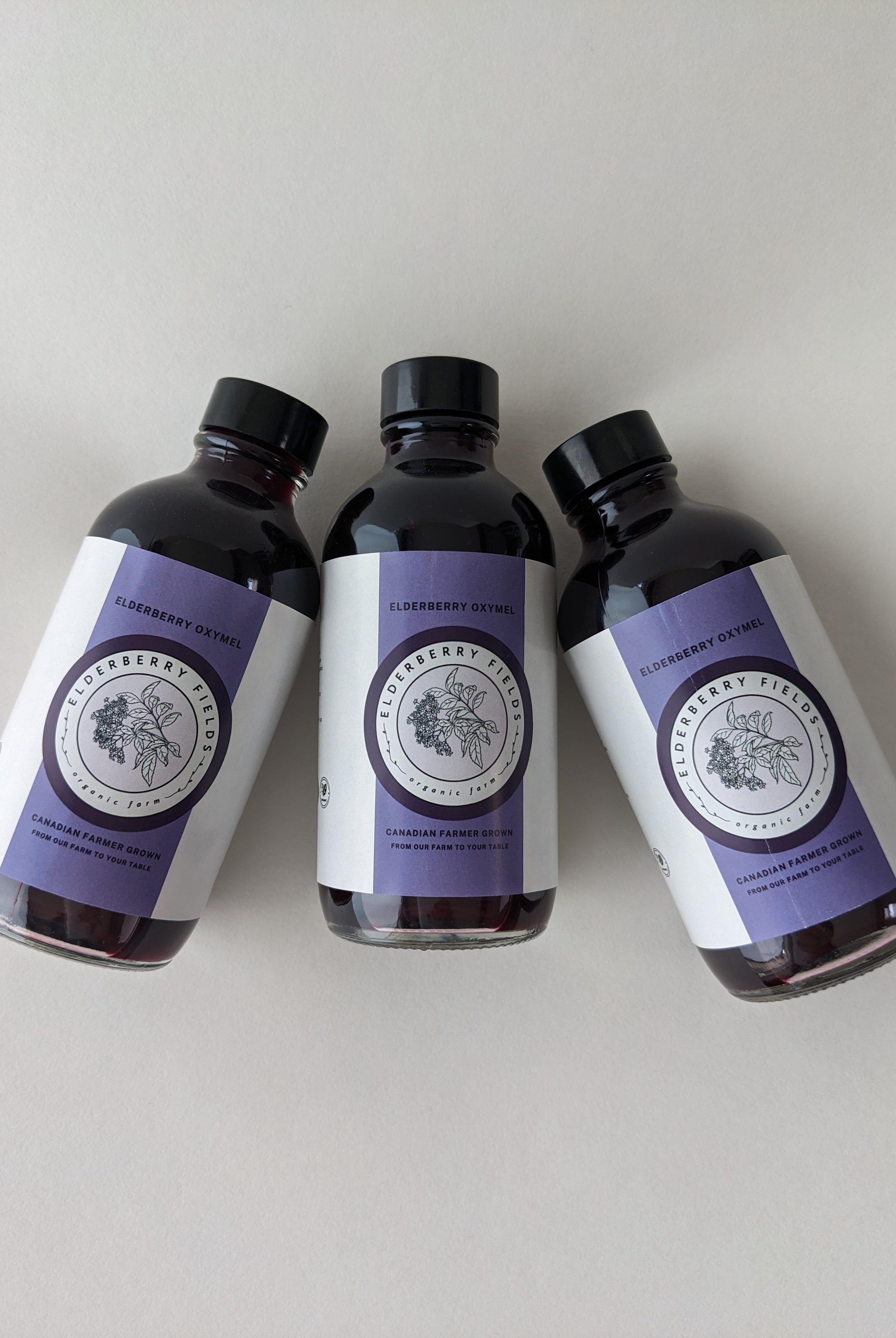 Elderberry Oxymel Wellness Shot Liquid | 4 fl oz | Elderberry Fields