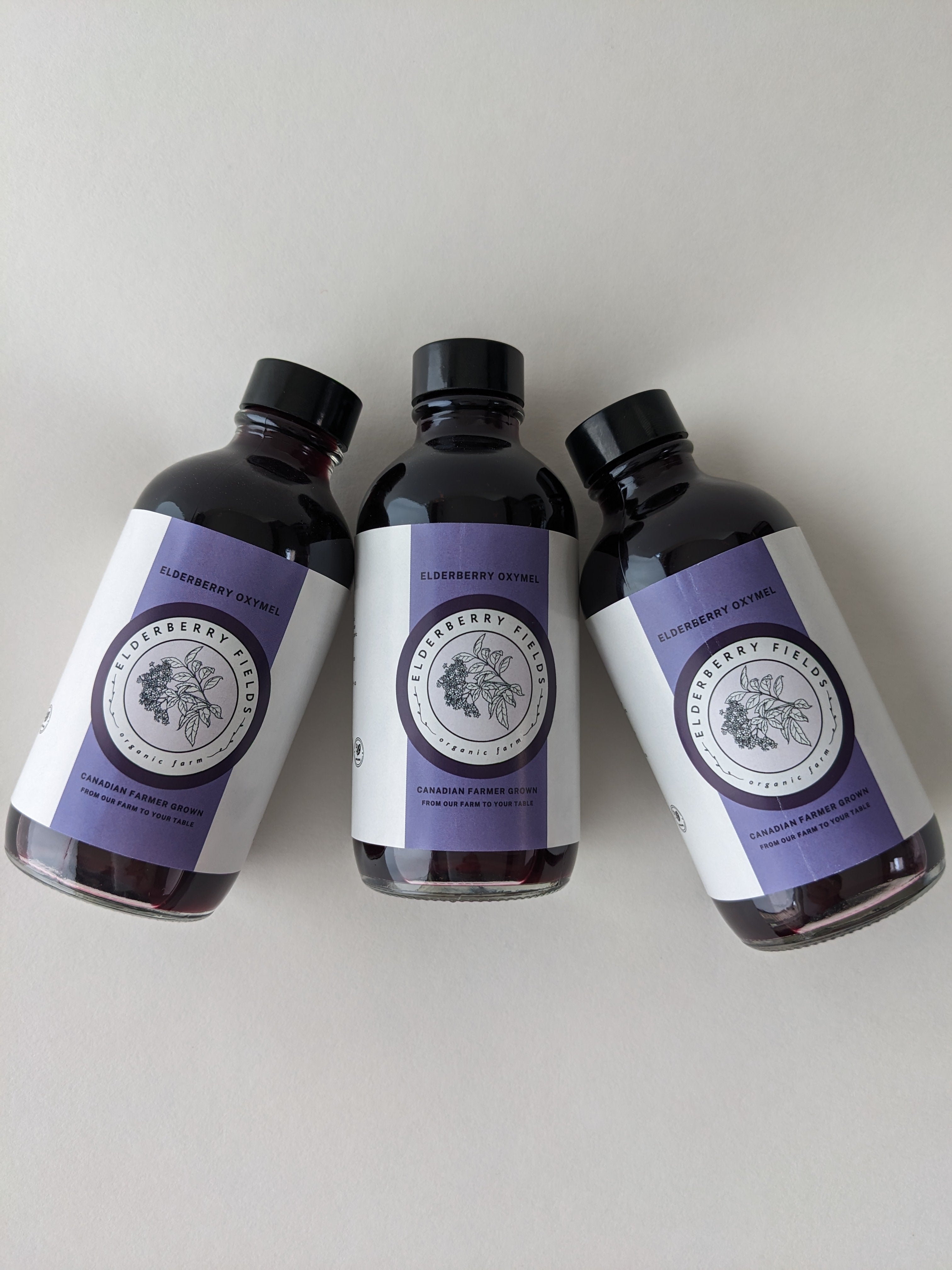 Elderberry Oxymel Wellness Shot Liquid | 4 fl oz | Elderberry Fields