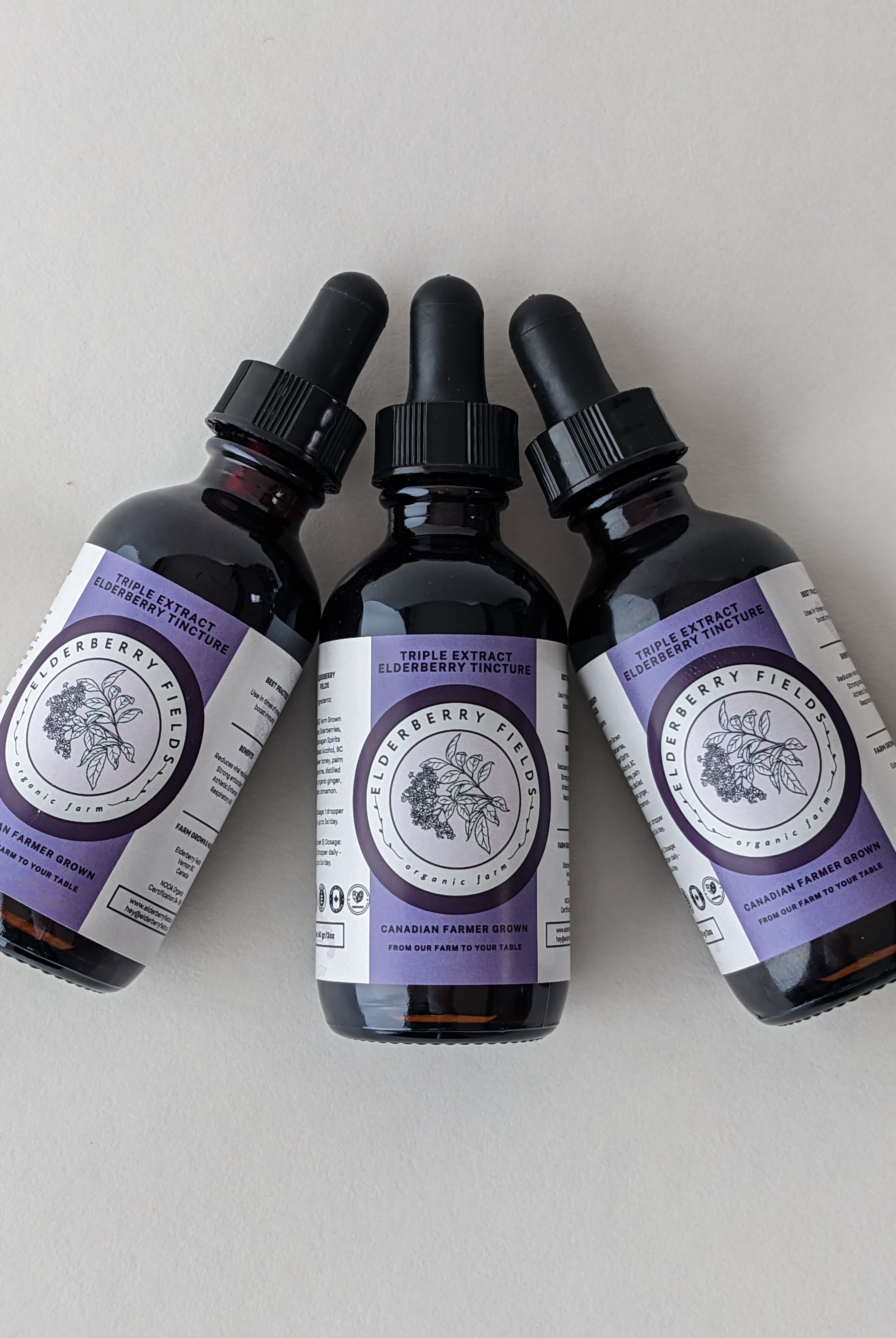 Triple Extract Elderberry Tincture Liquid | 2 fl oz | Elderberry Fields