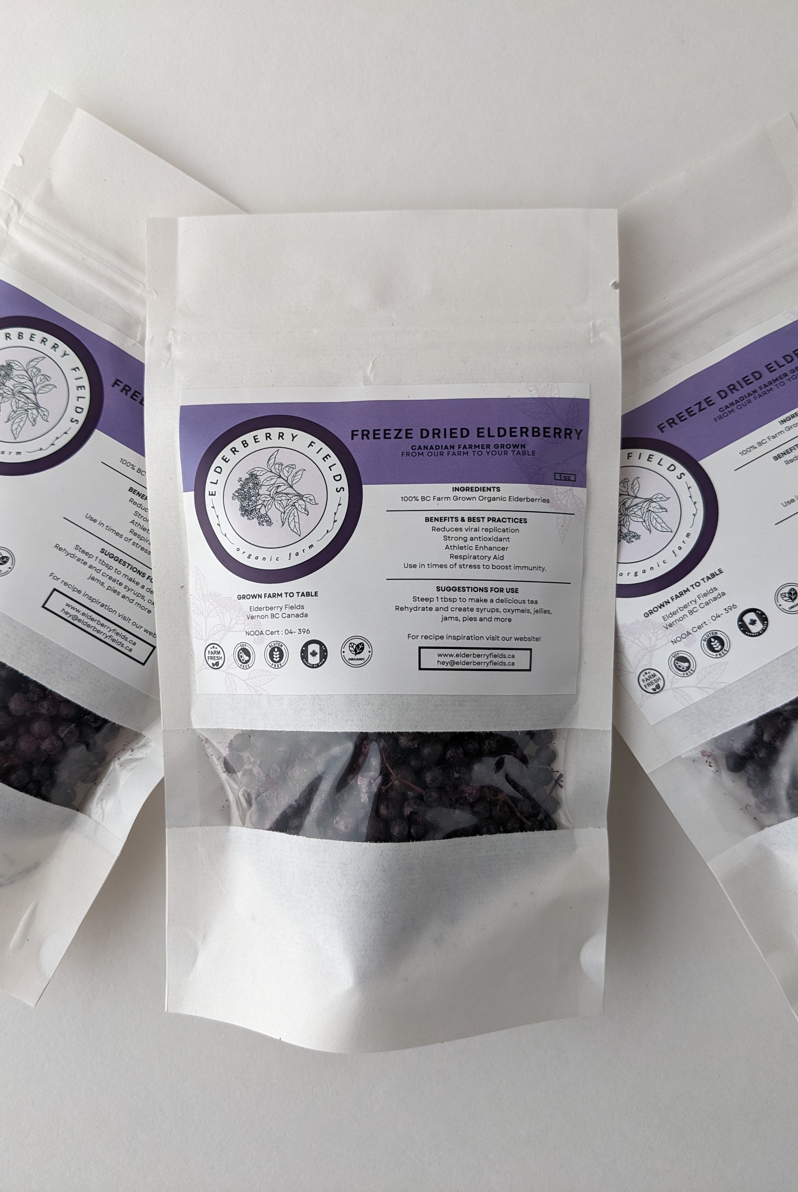 Freeze Dried Elderberries 1 packet | 1 fl oz | Elderberry Fields
