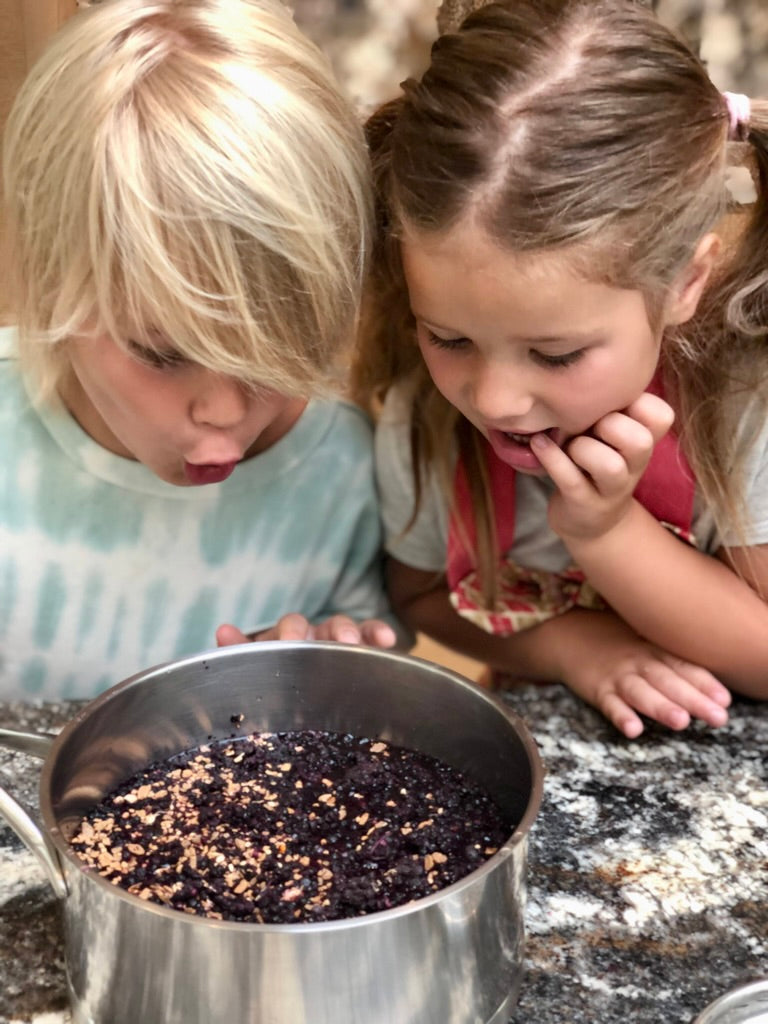 Do-It-Yourself Elderberry Syrup Kit | Makes 2 recipes