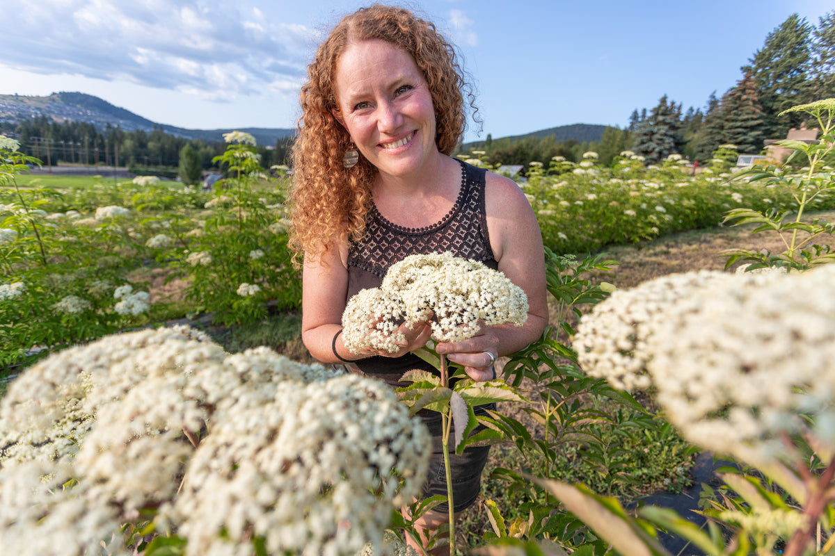 Faq's Elderberry Fields