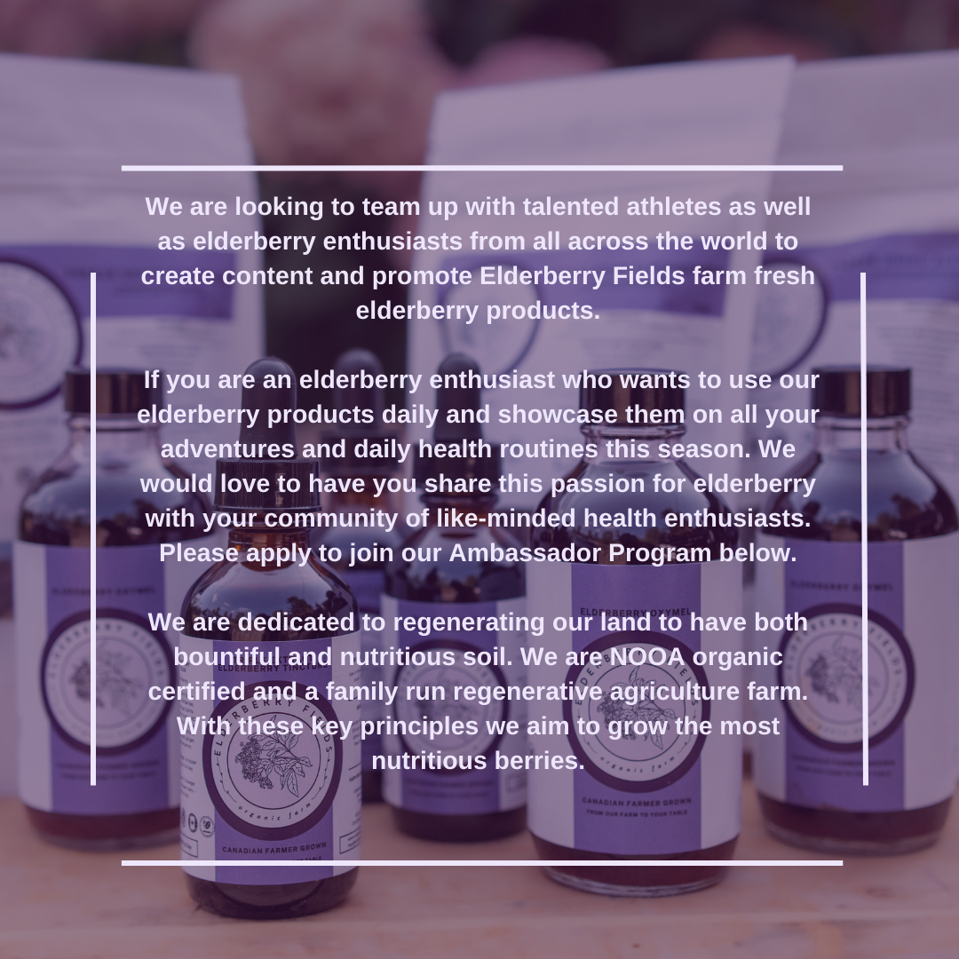 elderberry fields ambassador program | Elderberry for athletes and optimal health