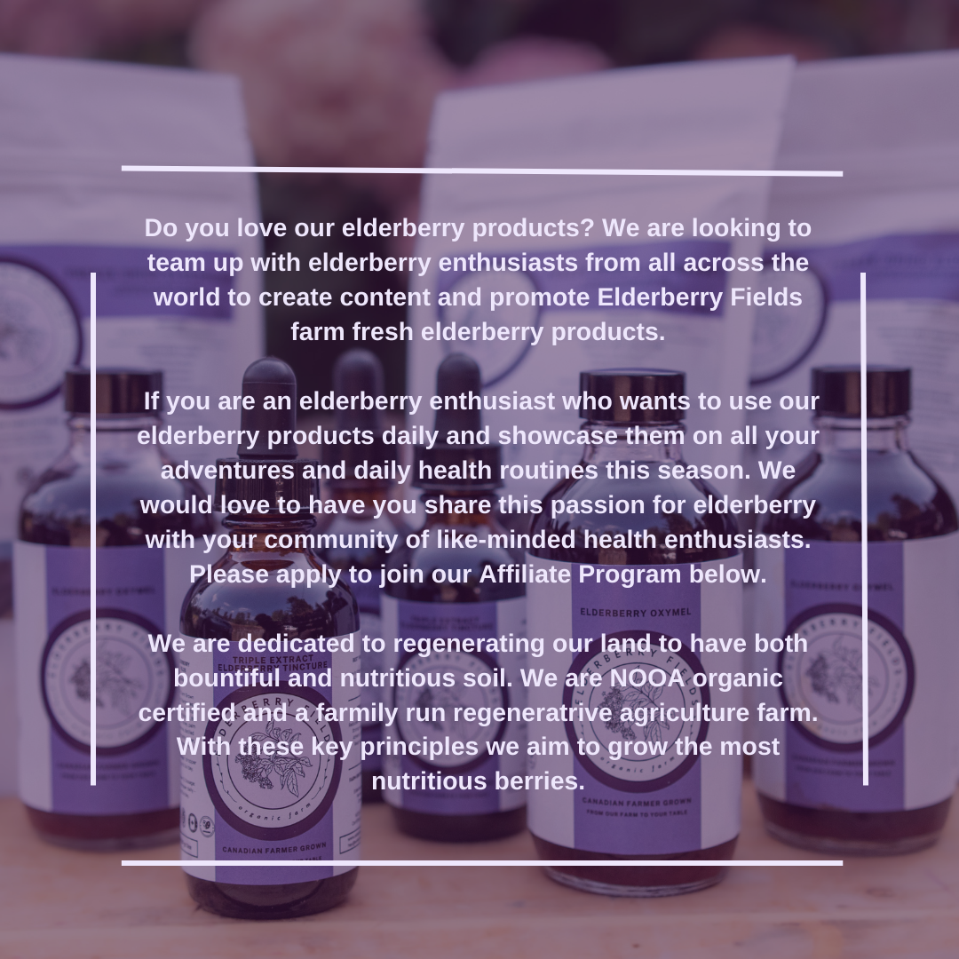 elderberry fields affiliate the many benefits