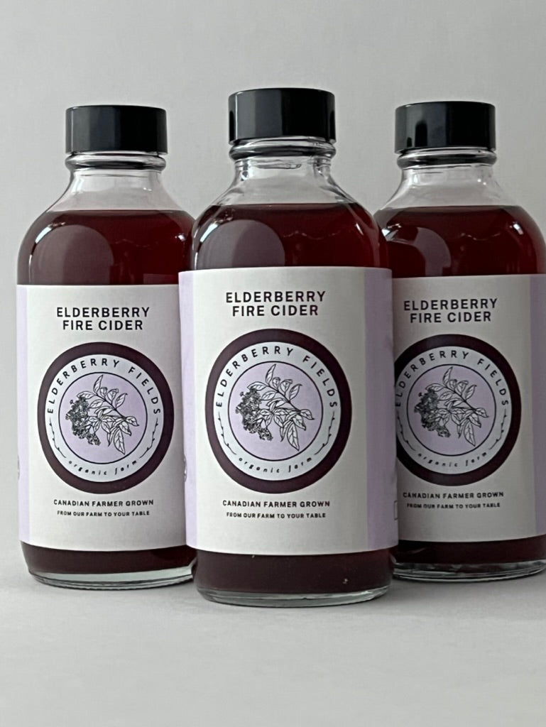 Elderberry fire cider for immunity