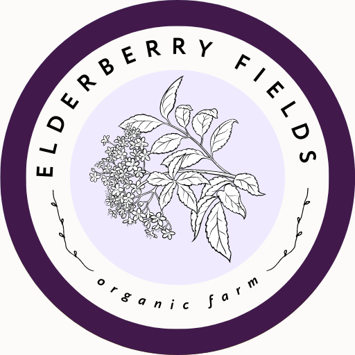 elderberry fields canada
