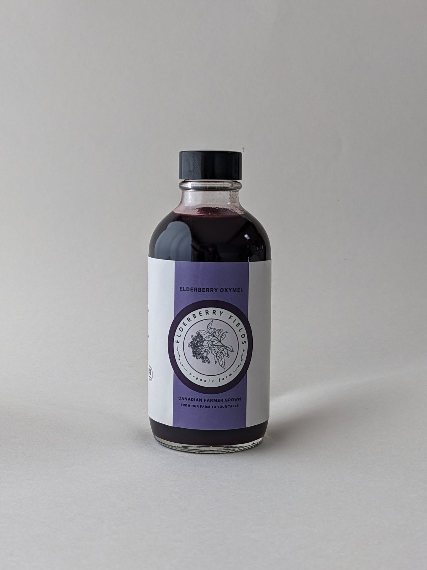 Elderberry Oxymel
