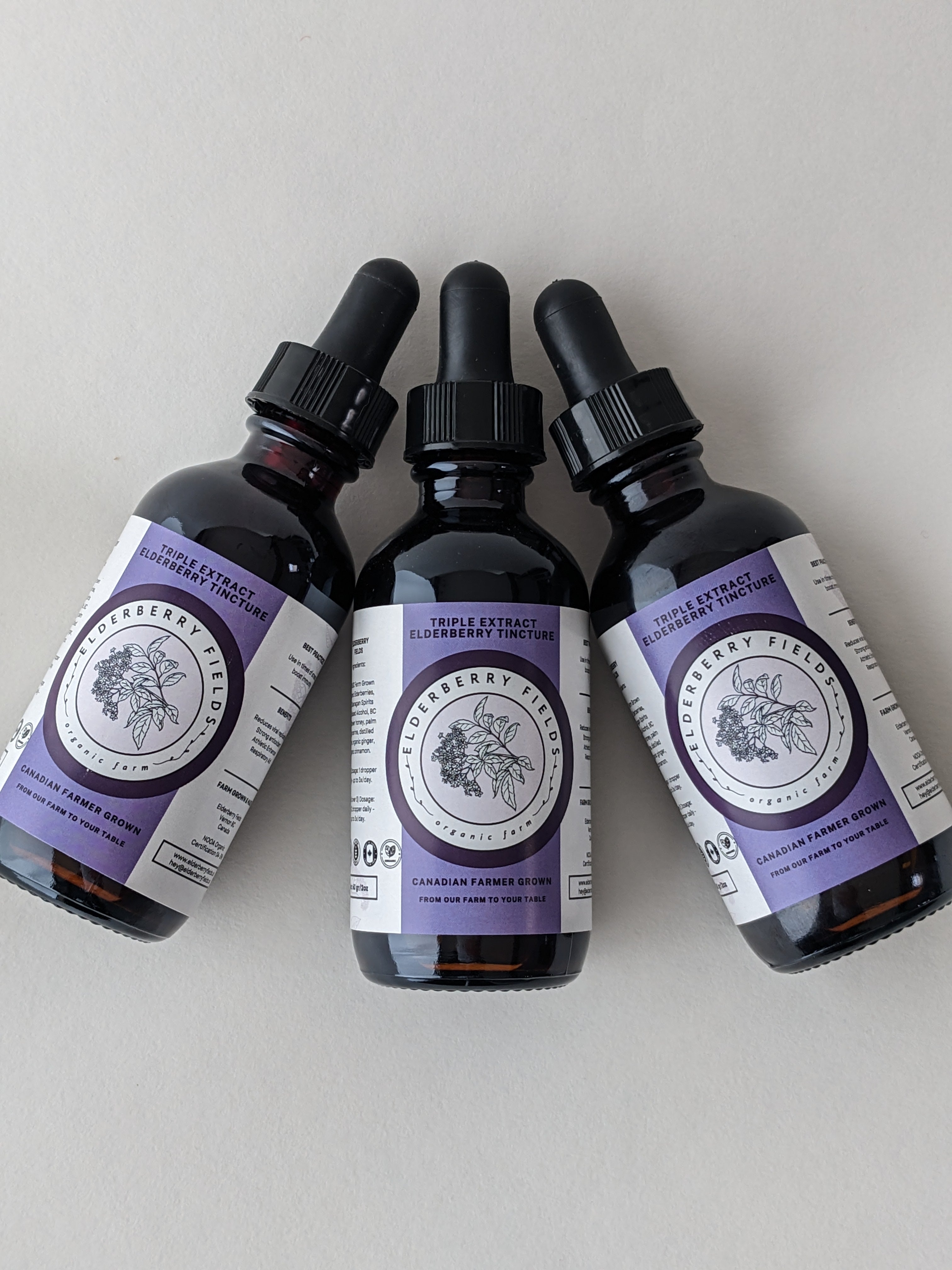 Triple Extract Elderberry Tincture Liquid | 2 fl oz | Elderberry Fields